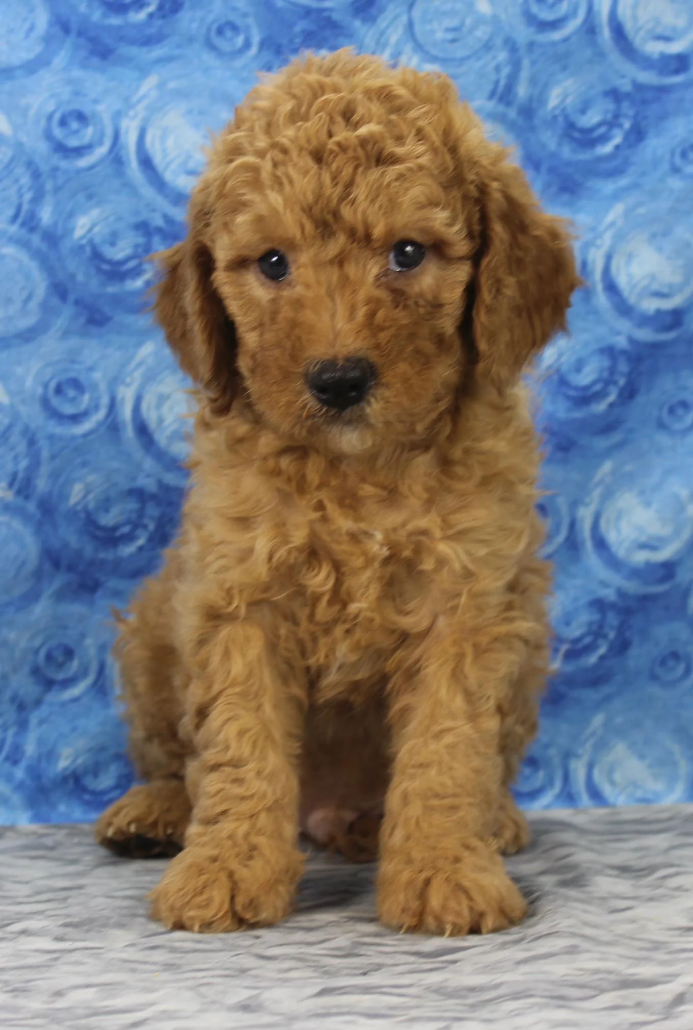 Duncan 1 041619.jpg
