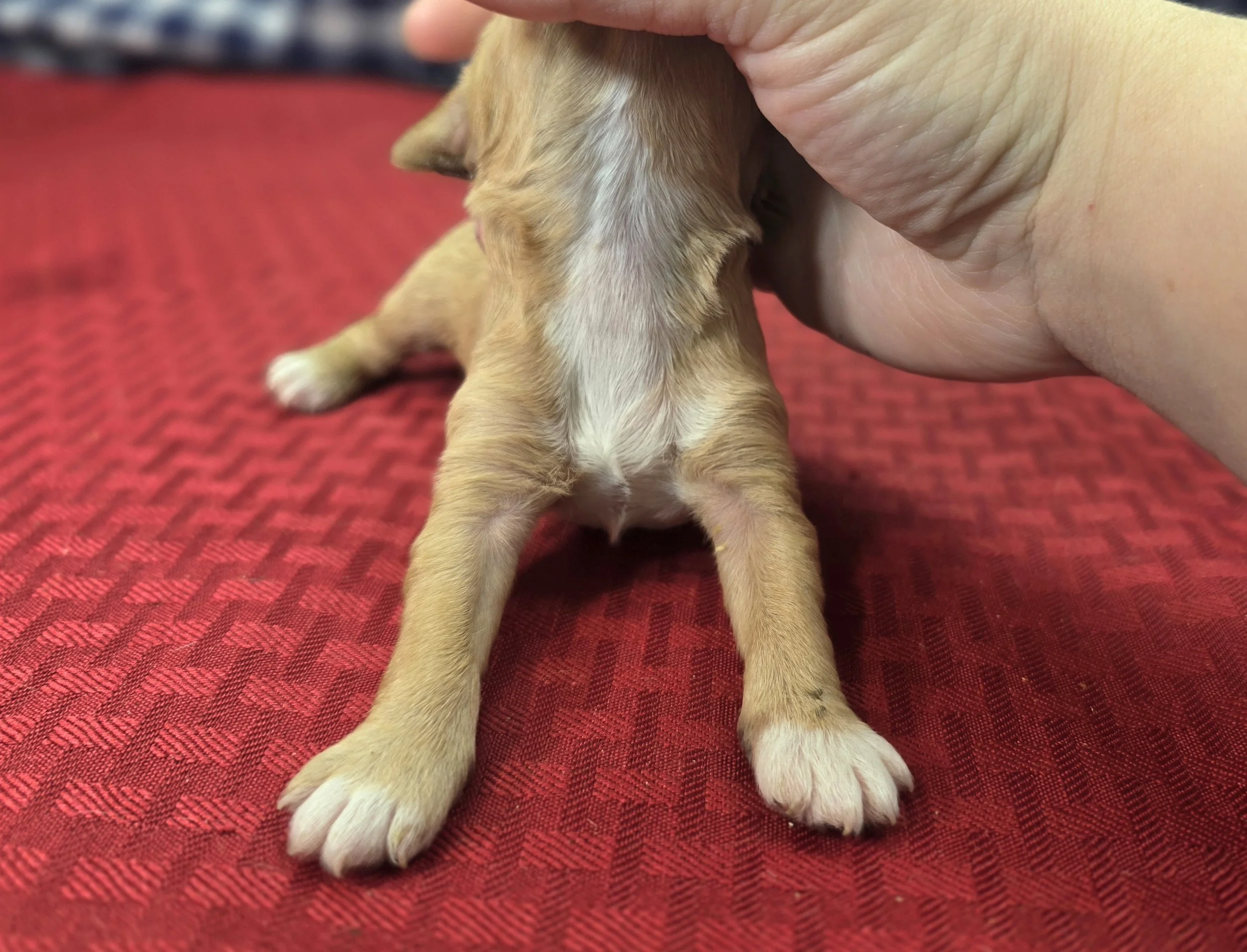 20251113_093543(0) 1.jpg