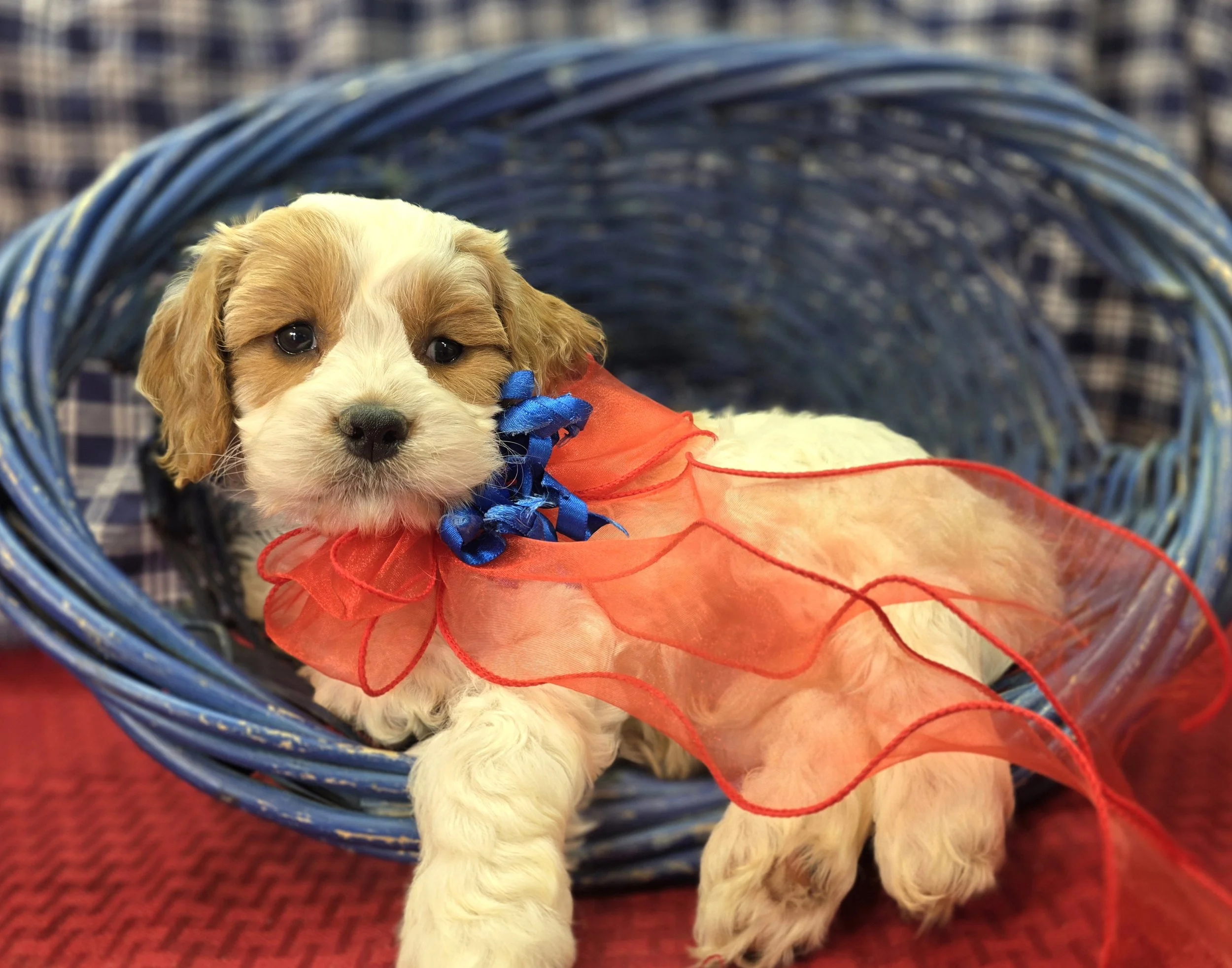20251112_115216.jpg