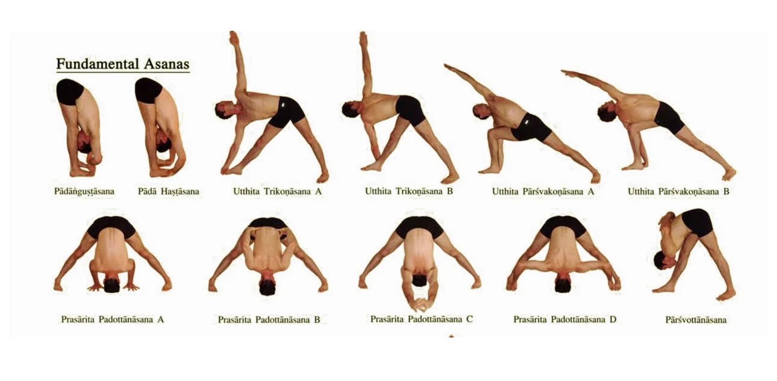 Ashtanga Standing3.jpg