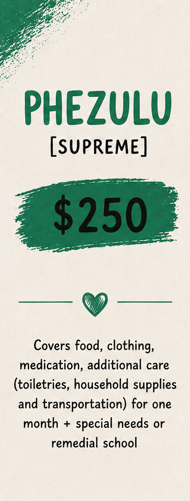 A fundraising card for Phezulu Supreme, with a donation amount of $250, covering food, clothing, medication, and other care for one month plus special needs or remedial school.