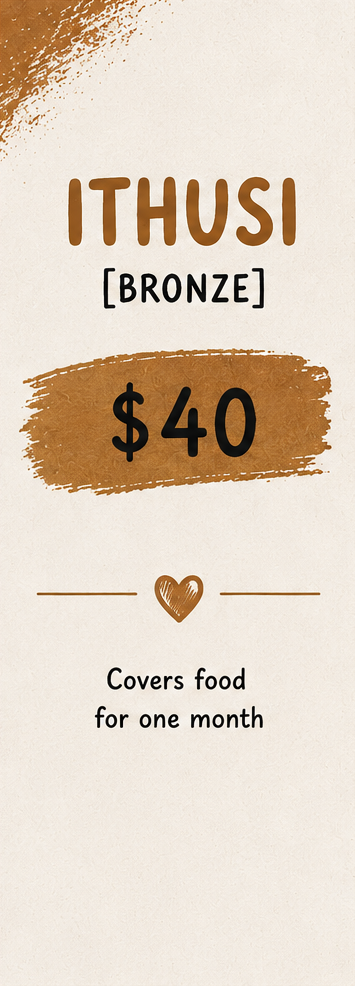 A promotional vertical banner displays the website ITHUSI in large brown letters, with '[BRONZE]' underneath, followed by a brown brushstroke with the price '$40', a small heart icon, and the text 'Covers food for one month' at the bottom.
