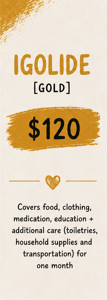IGOLIDE Gold program costs $120 and covers food, clothing, medication, education, and additional care for one month.