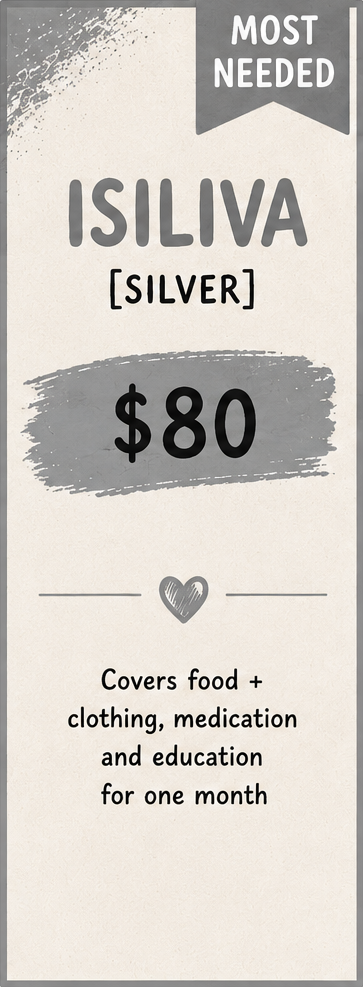 Banner listing a donation item called Isiliva (Silver) for $80, covering food, clothing, medication, and education for one month, with a 'Most Needed' label and a small heart graphic.