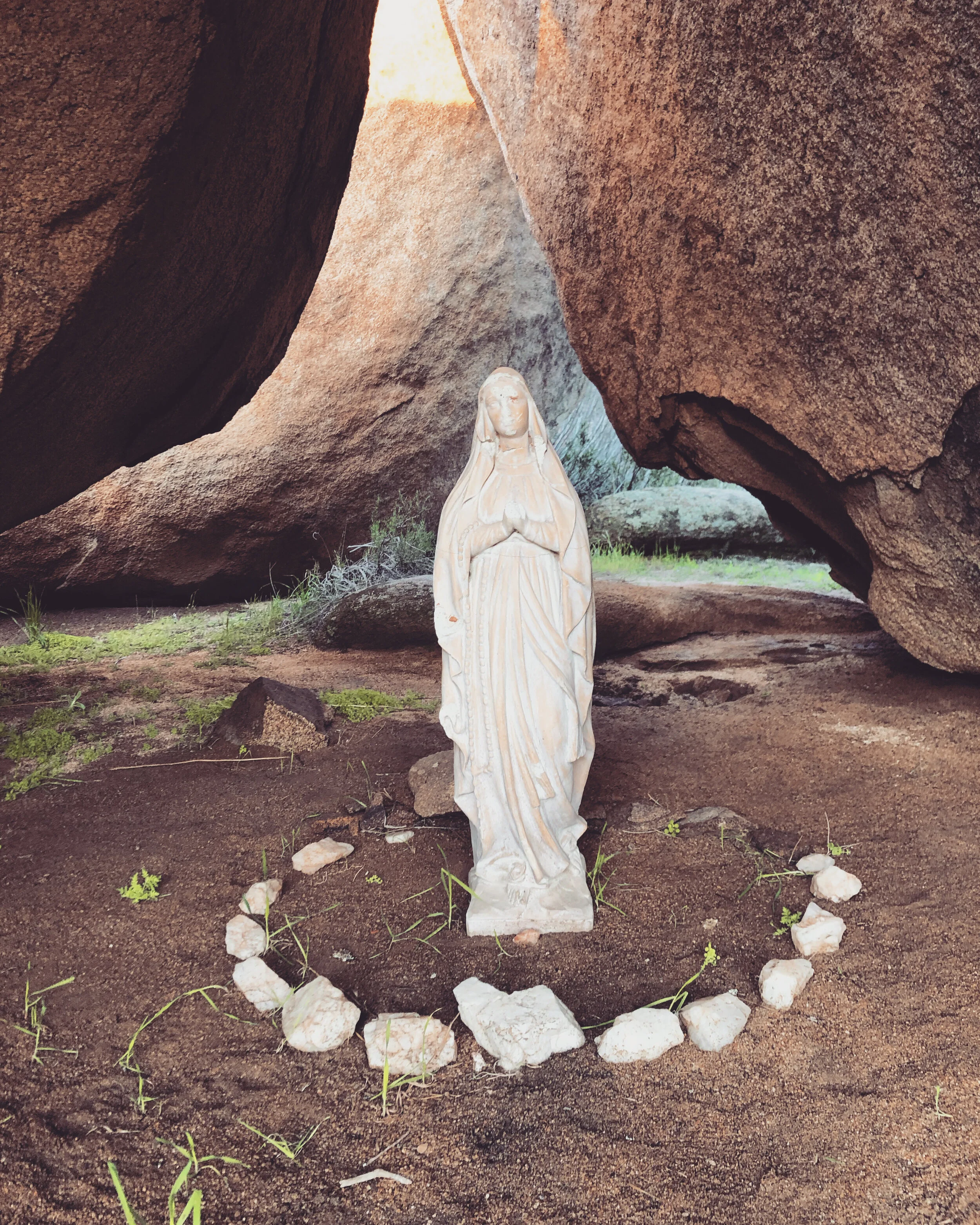 Riding Waves During COVID-19