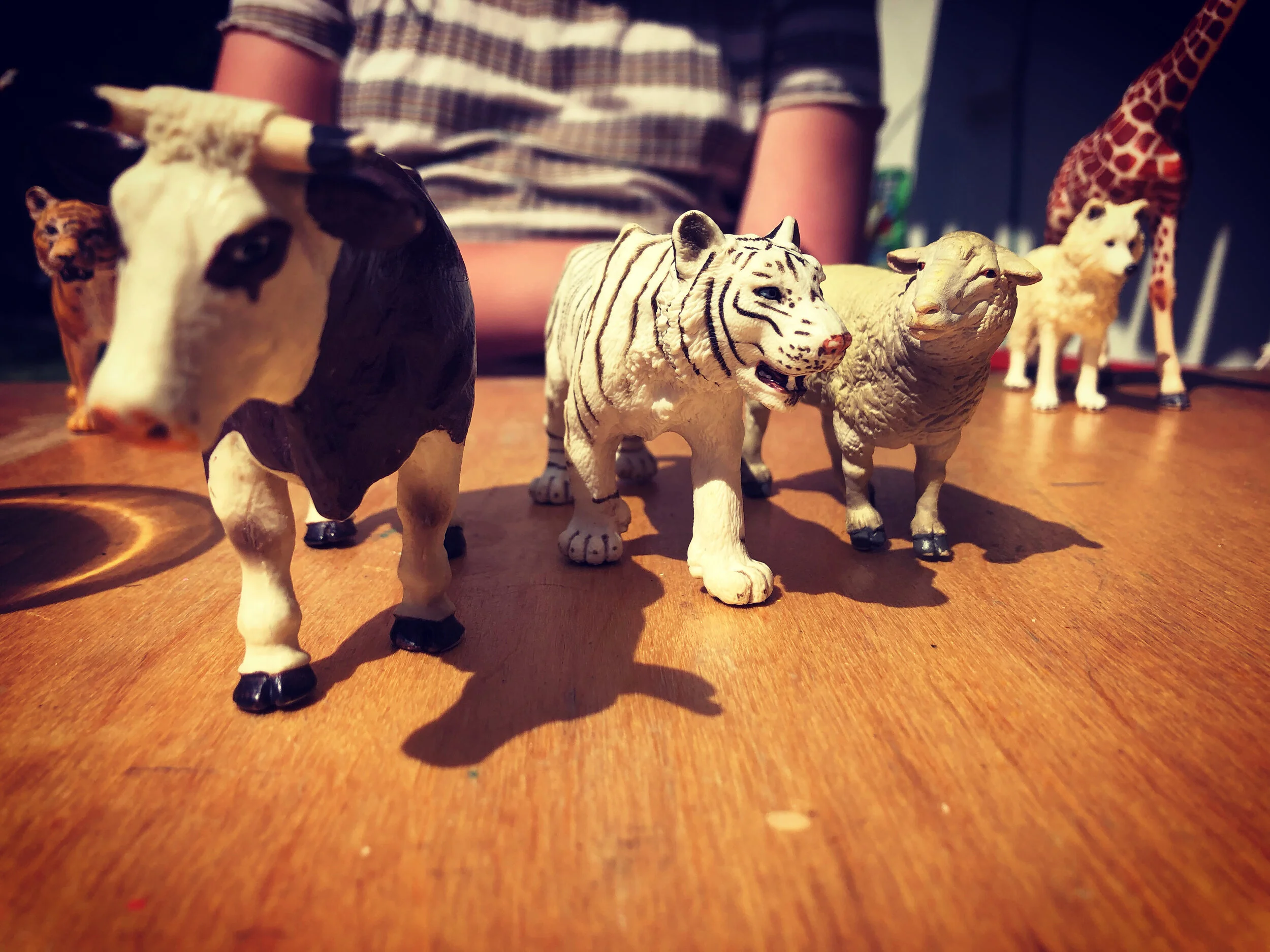 Support for Children During Change