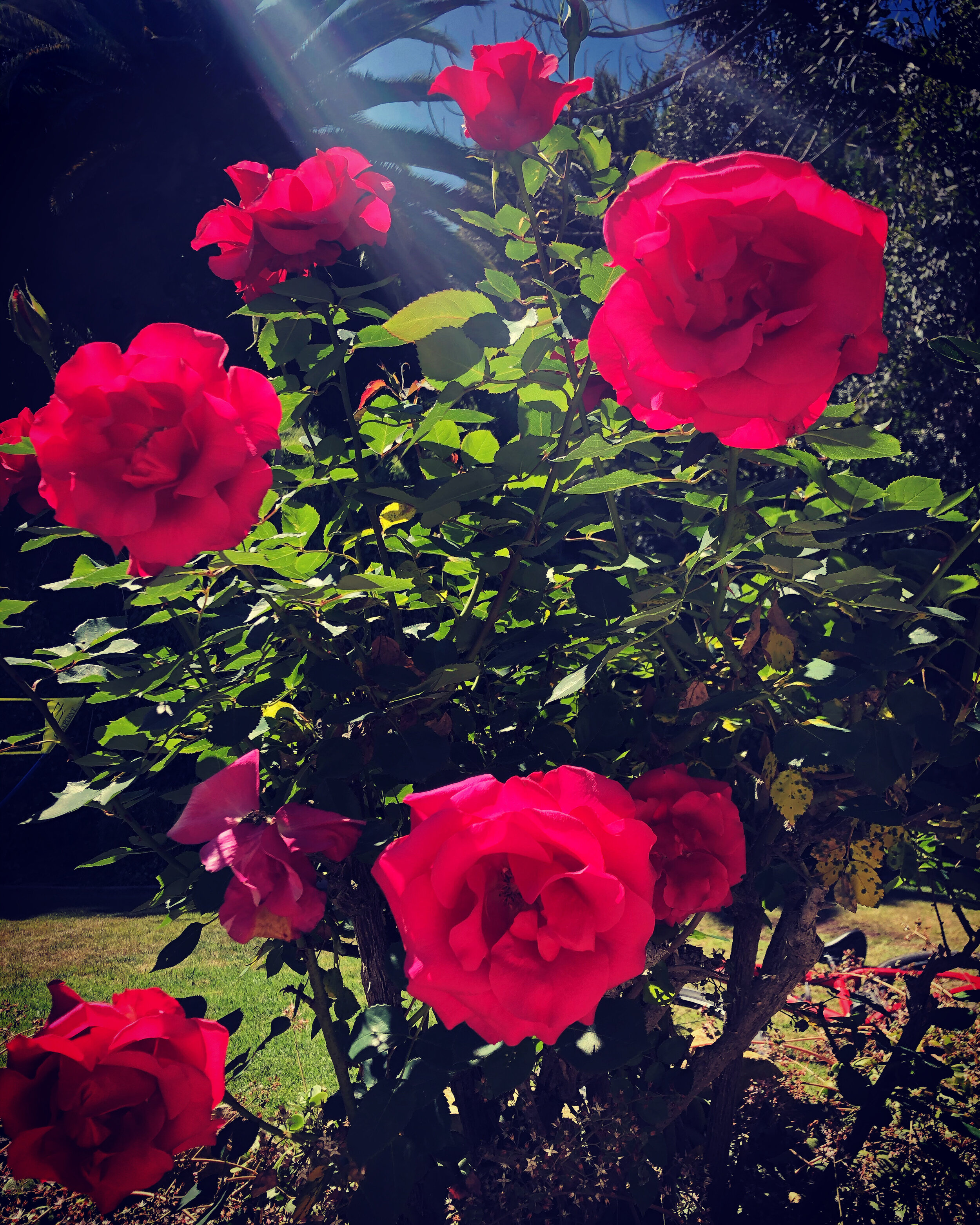 Self-nourishment through inspiration 