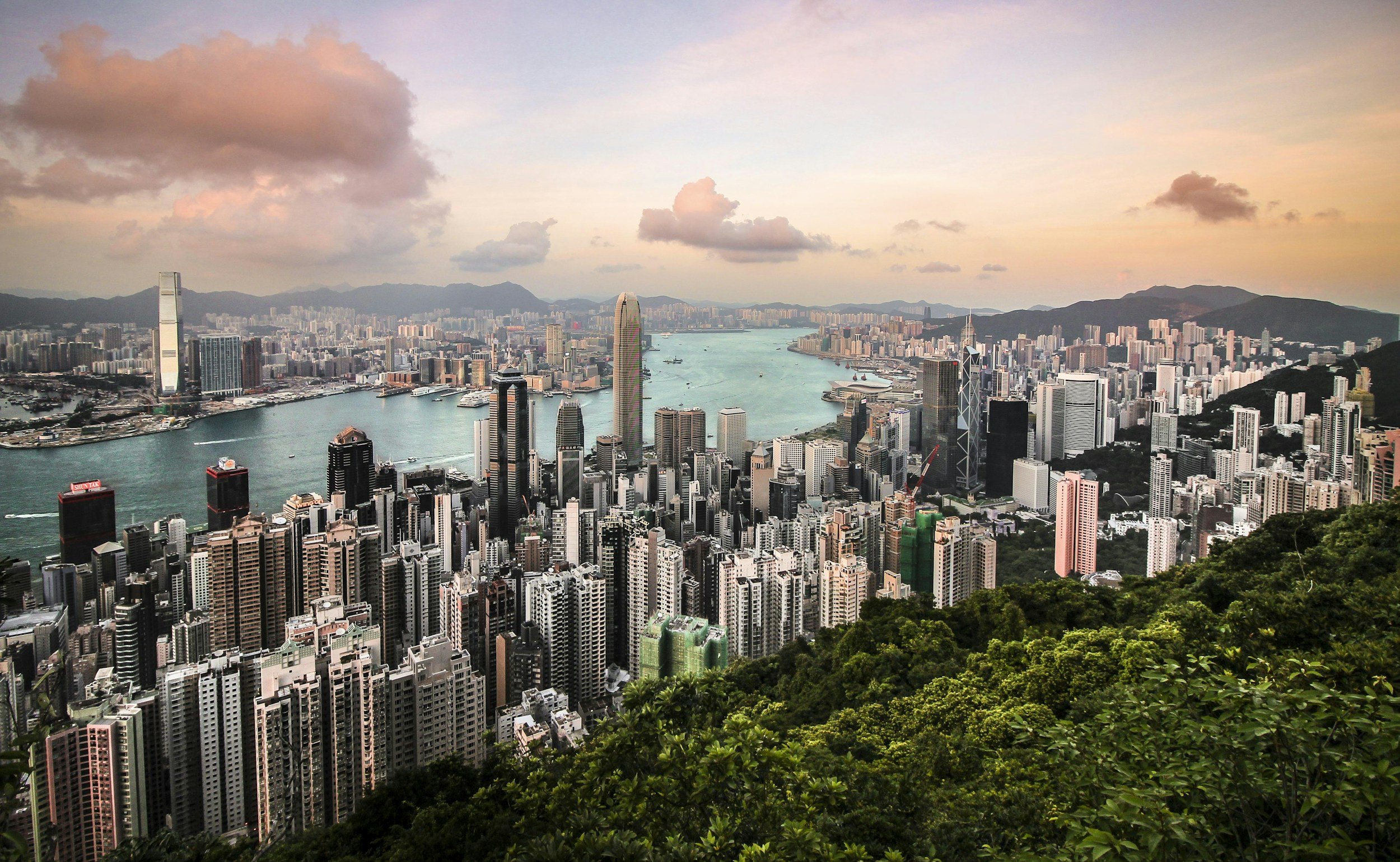 unsplash-image-8bjnP3yhNTg.jpg