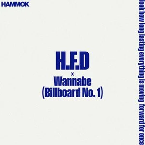 Hammok - H.F.D x Wannabe (Billboard No.1)