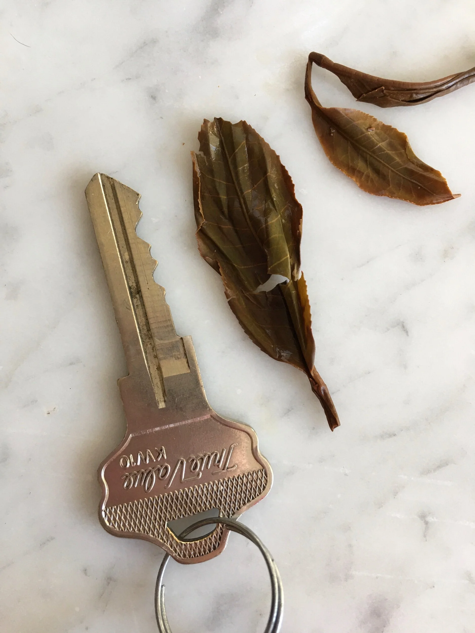 3CF8CDE1-828C-470F-860D-570E9E435CE7