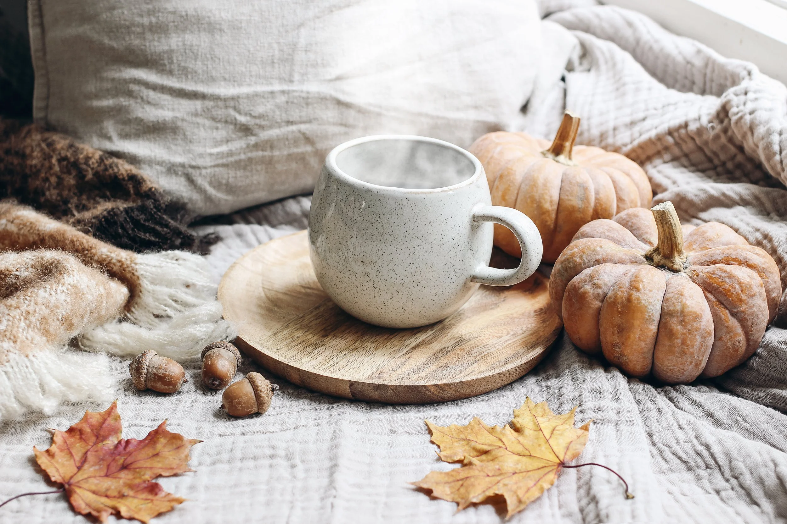 pearl_PumpkinMug_2022.jpeg