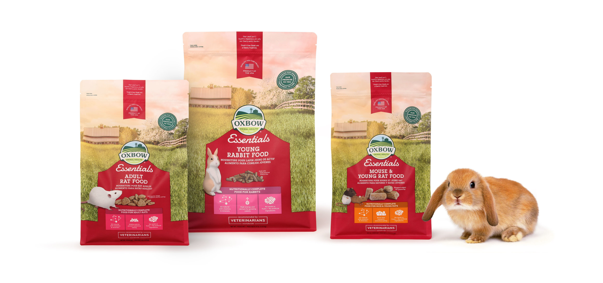 *Three pet food package designs with a small rabbit
