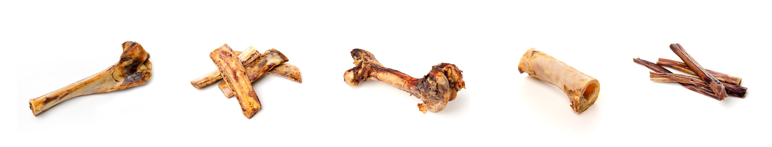 *Five kinds of dog bones