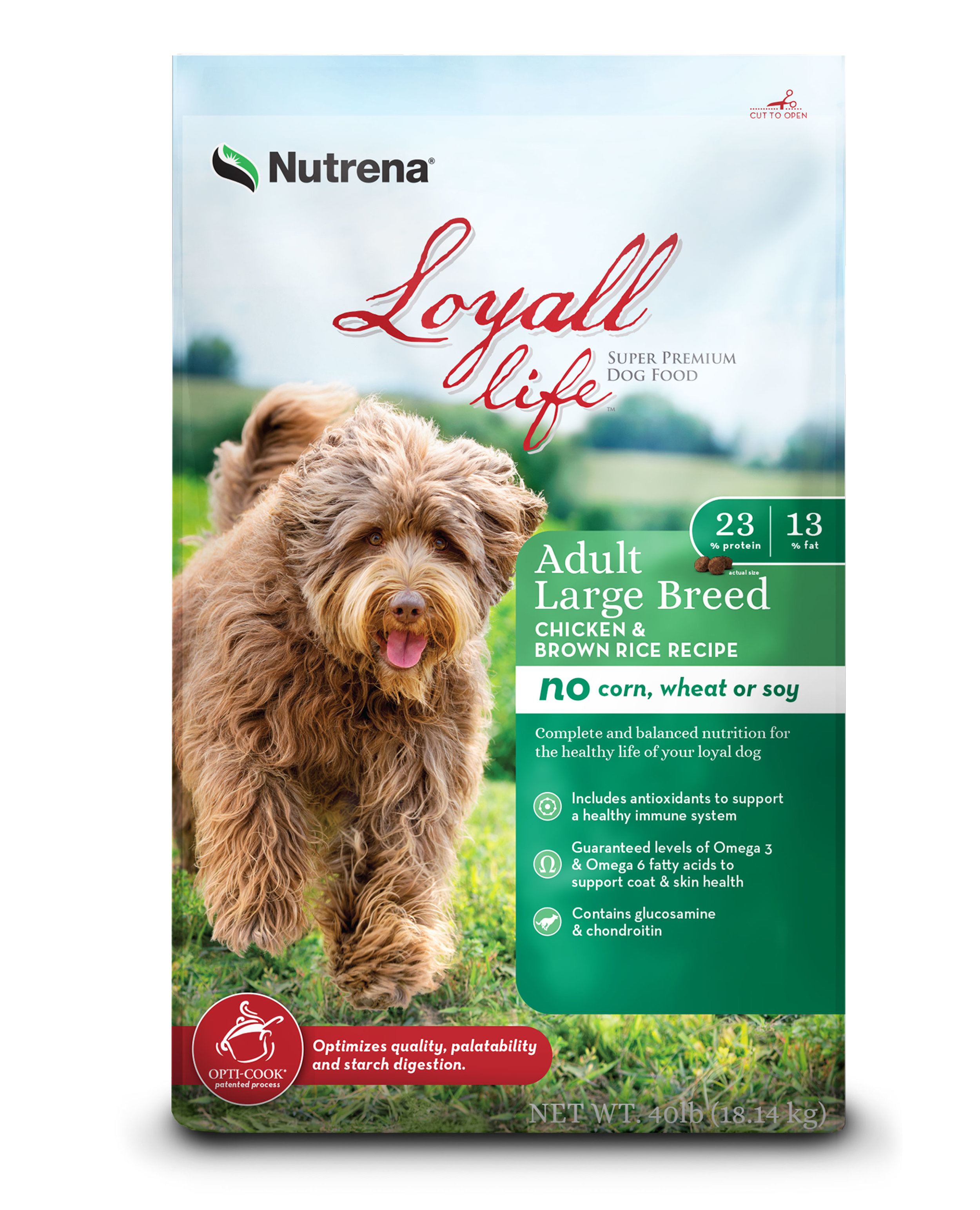 Reggae was certified as a therapy dog one day after his first birthday. He's dedicated to the kids at the camp where he works (and plays). Loyall Life™ proudly supports therapy, service and rescue dogs.