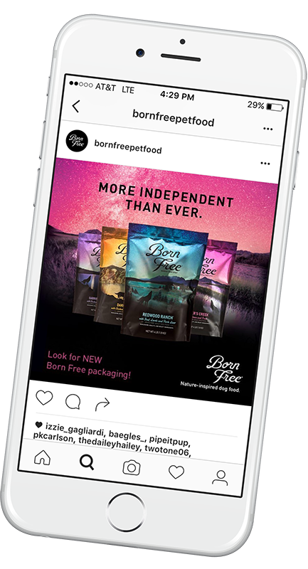 To maximize the impact of the Born Free brand refresh we tailored a strategic social media plan to increase awareness and drive store traffic, geo-targeting the Chicago metro area. Boosted posts, custom content and online scavenger hunts drove 375,000 impressions and 250% growth in followers within four months. 