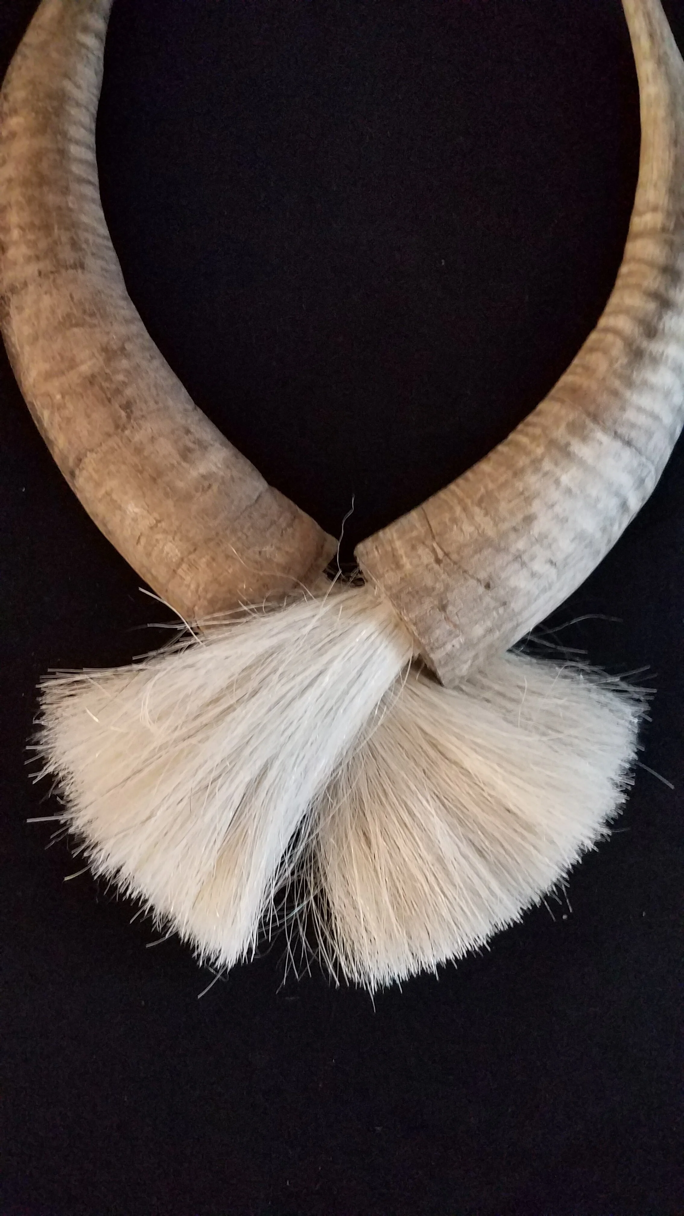 Goat Horns and Horse Hair
