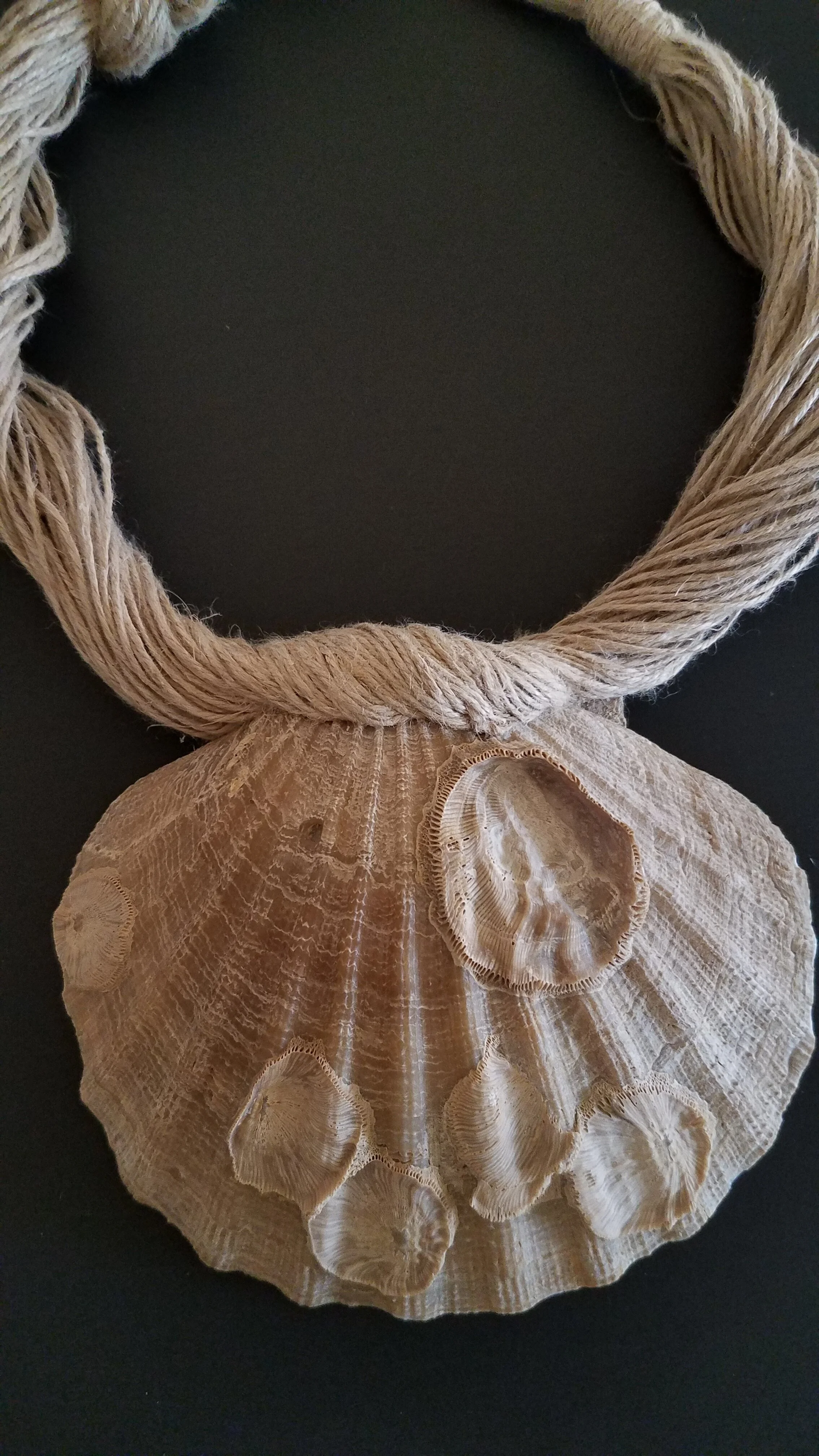Scallop Shell and Jute