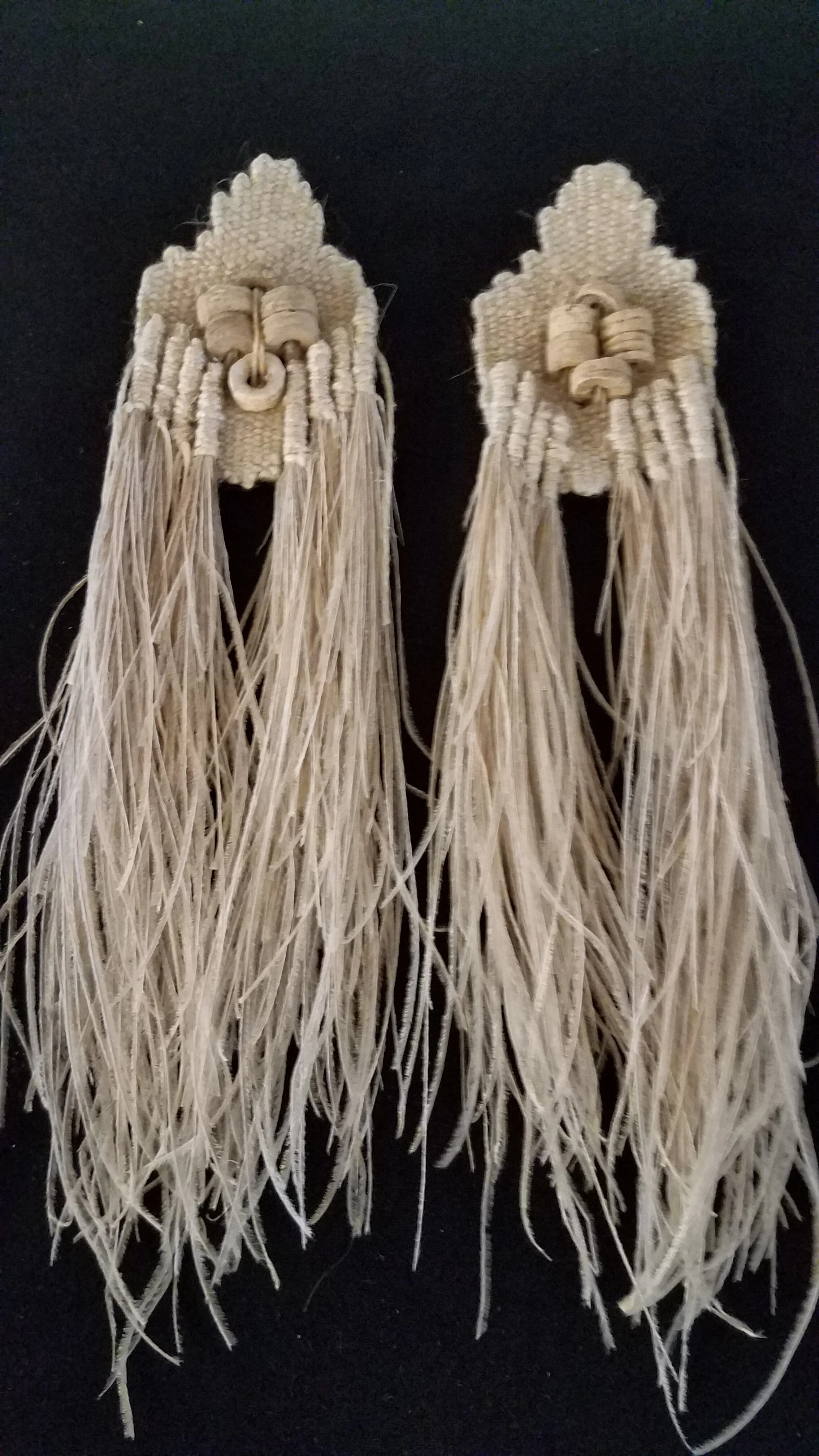 Natural Peacock and Fossils