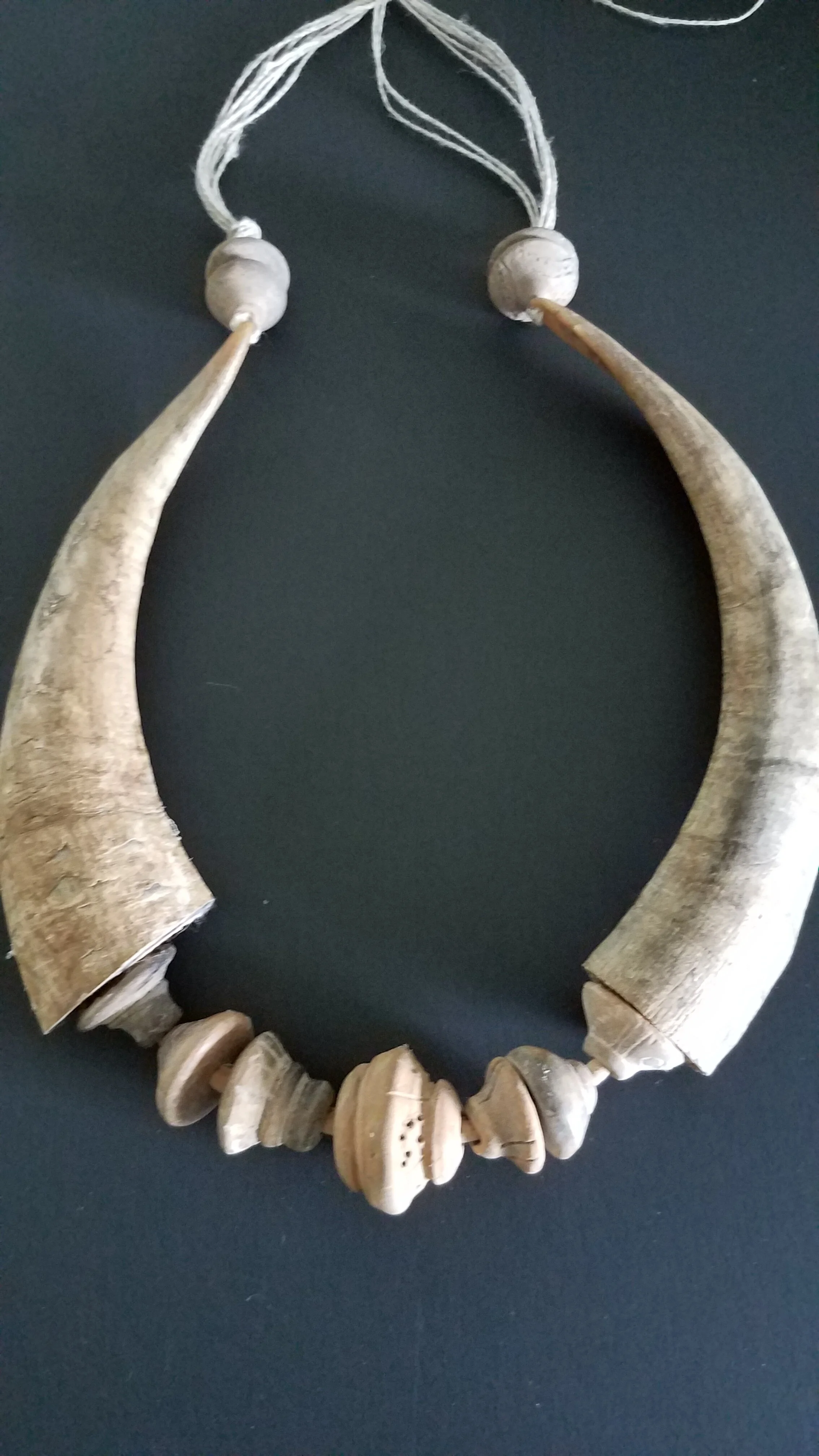 Horn  and Spindle Whorl Necklace