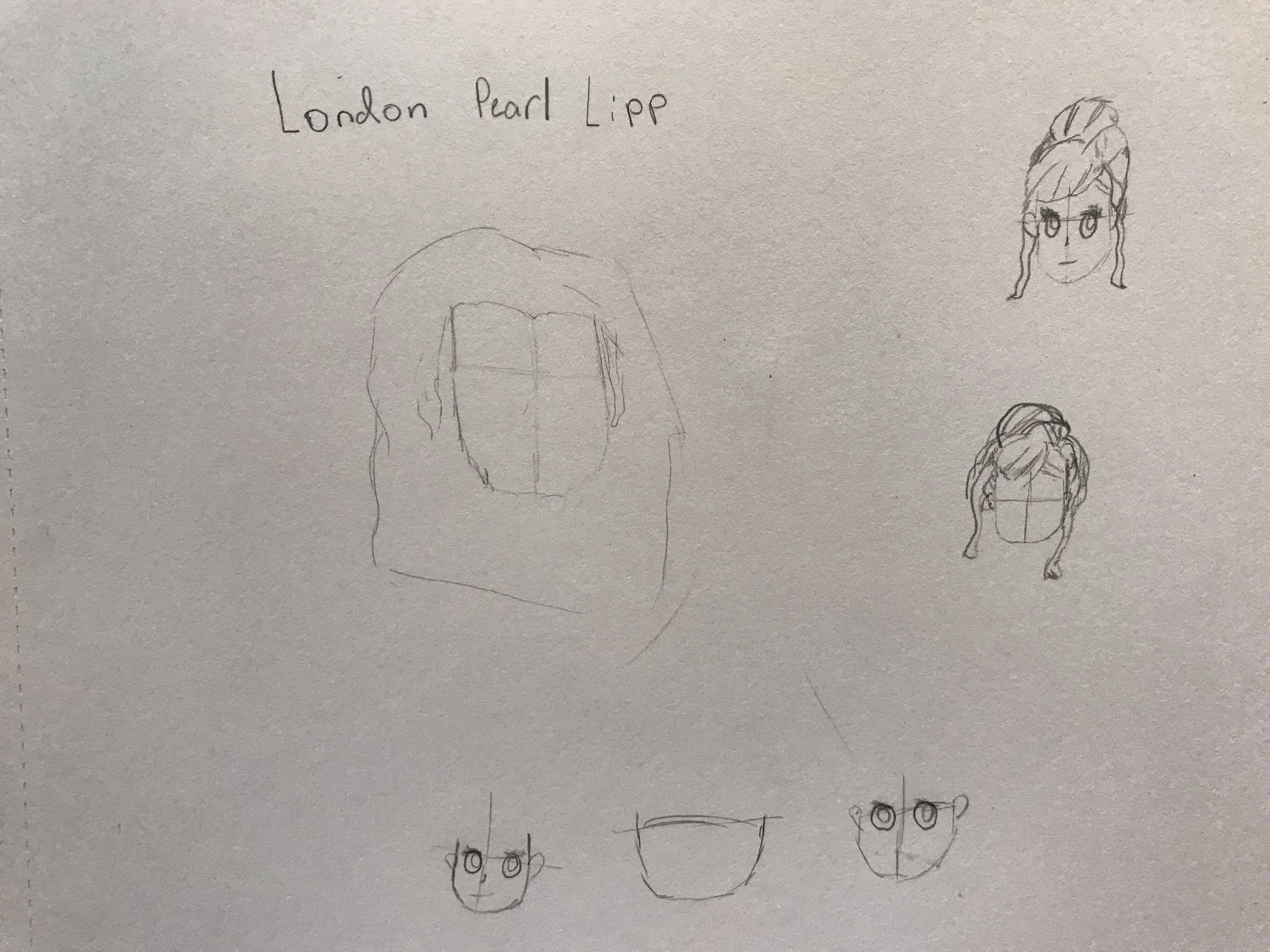 li5.JPG