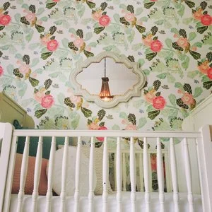 nursery pic.jpg