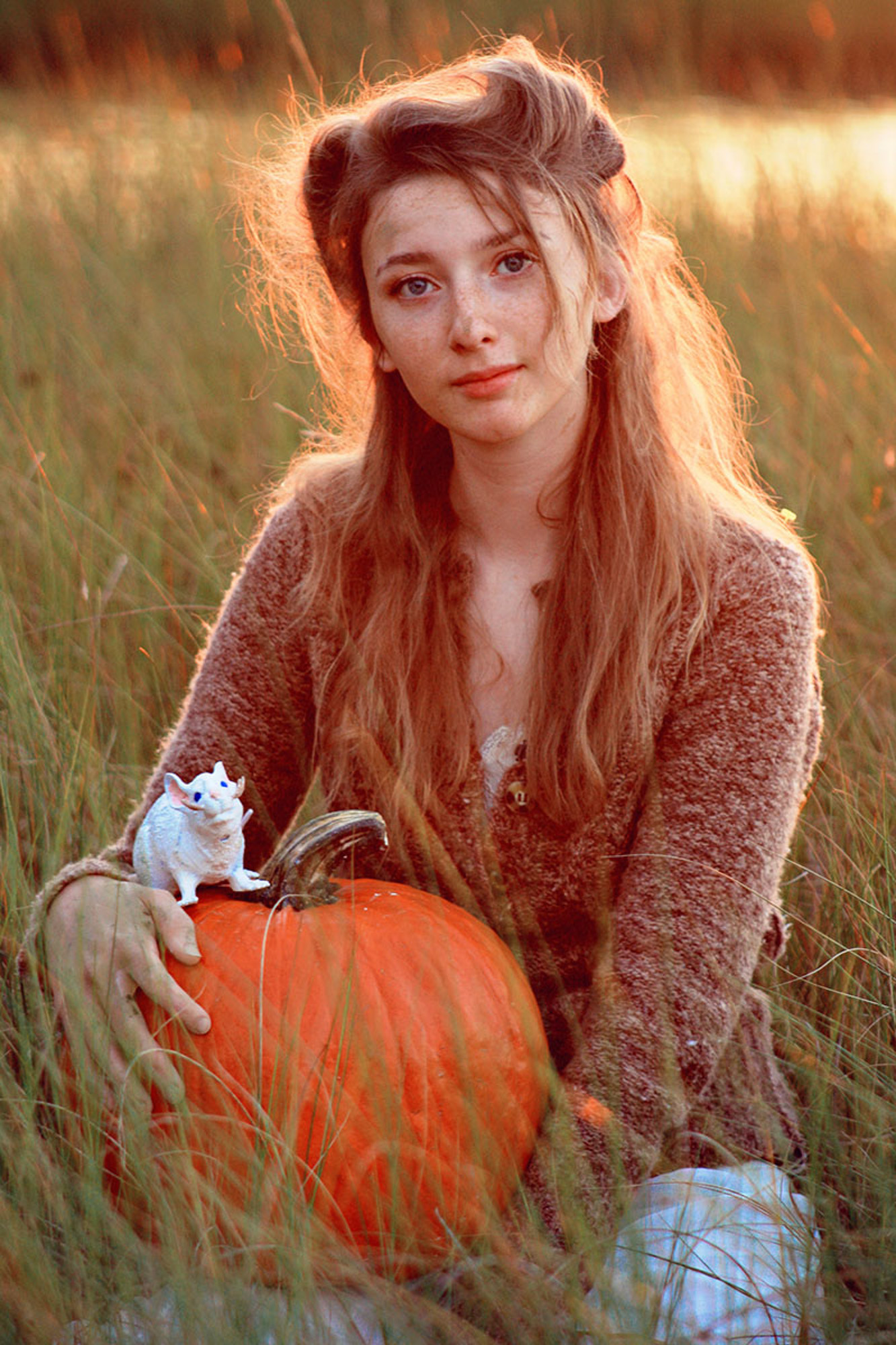 Cinderella in a field with pumpkin and mouse.jpg