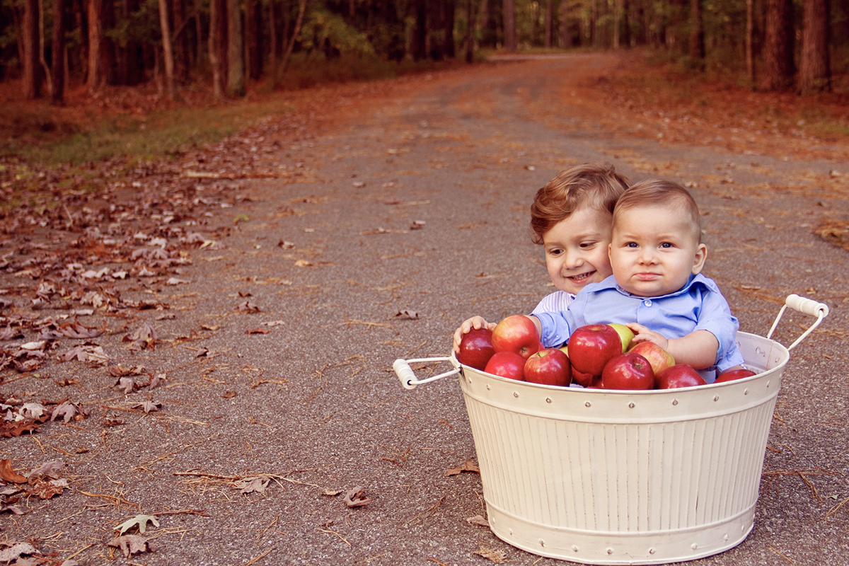  Boys in  a bucket of apples 