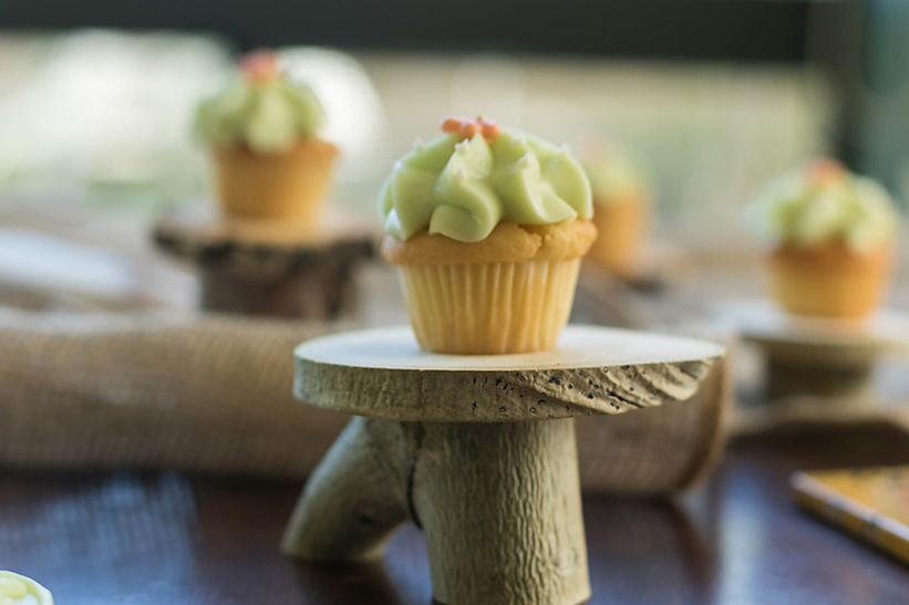 Bohemian Desert Wedding cupcakes.jpg