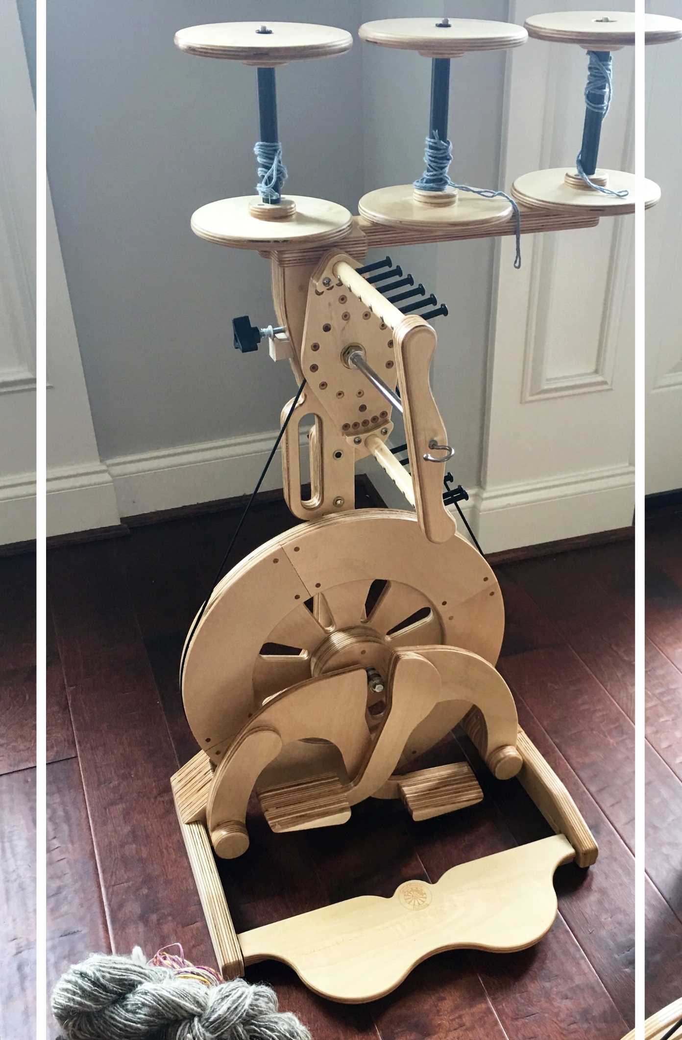 spinolution bullfrog (Copy)