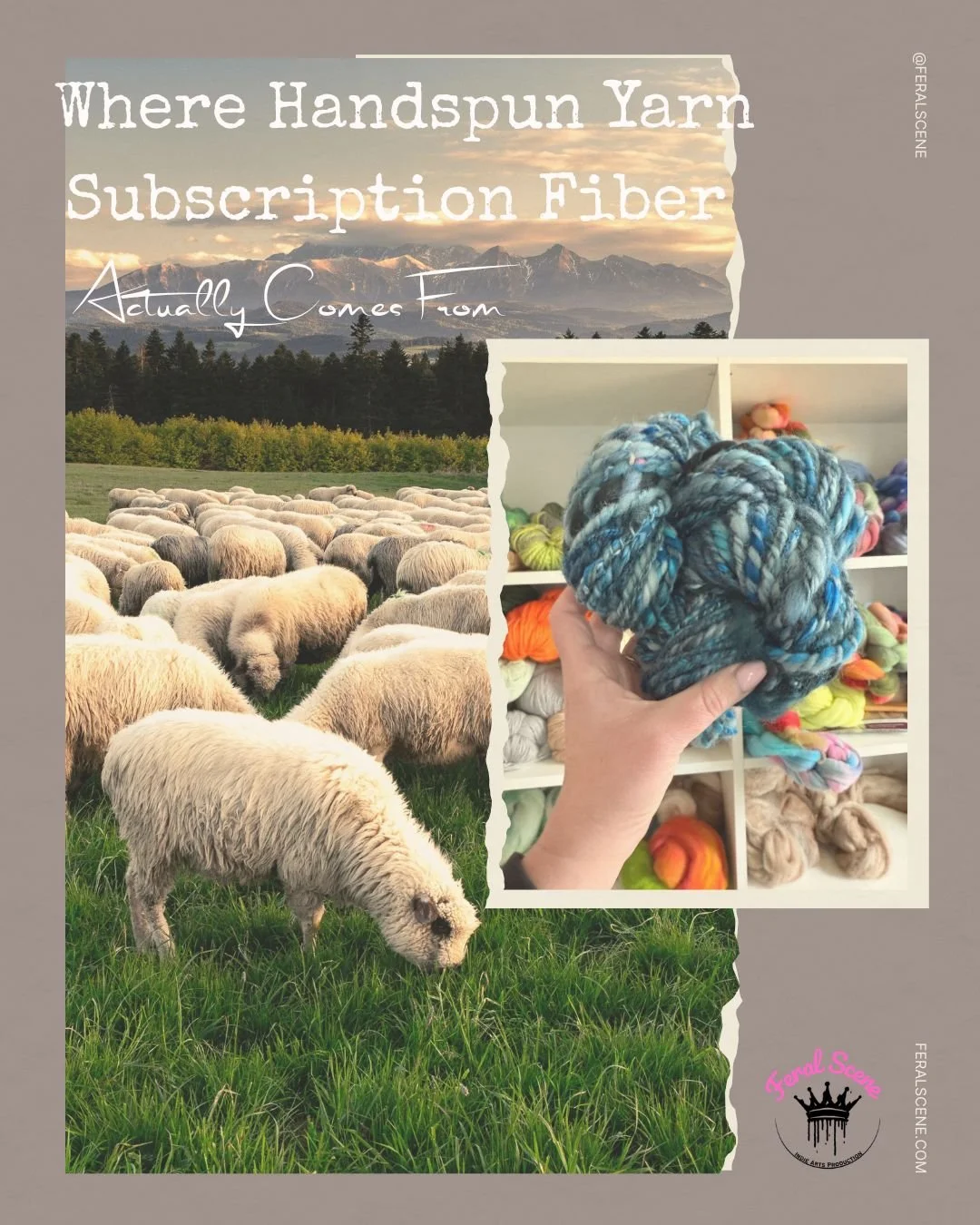Where Handspun Yarn Subscription Fiber Actually Comes From