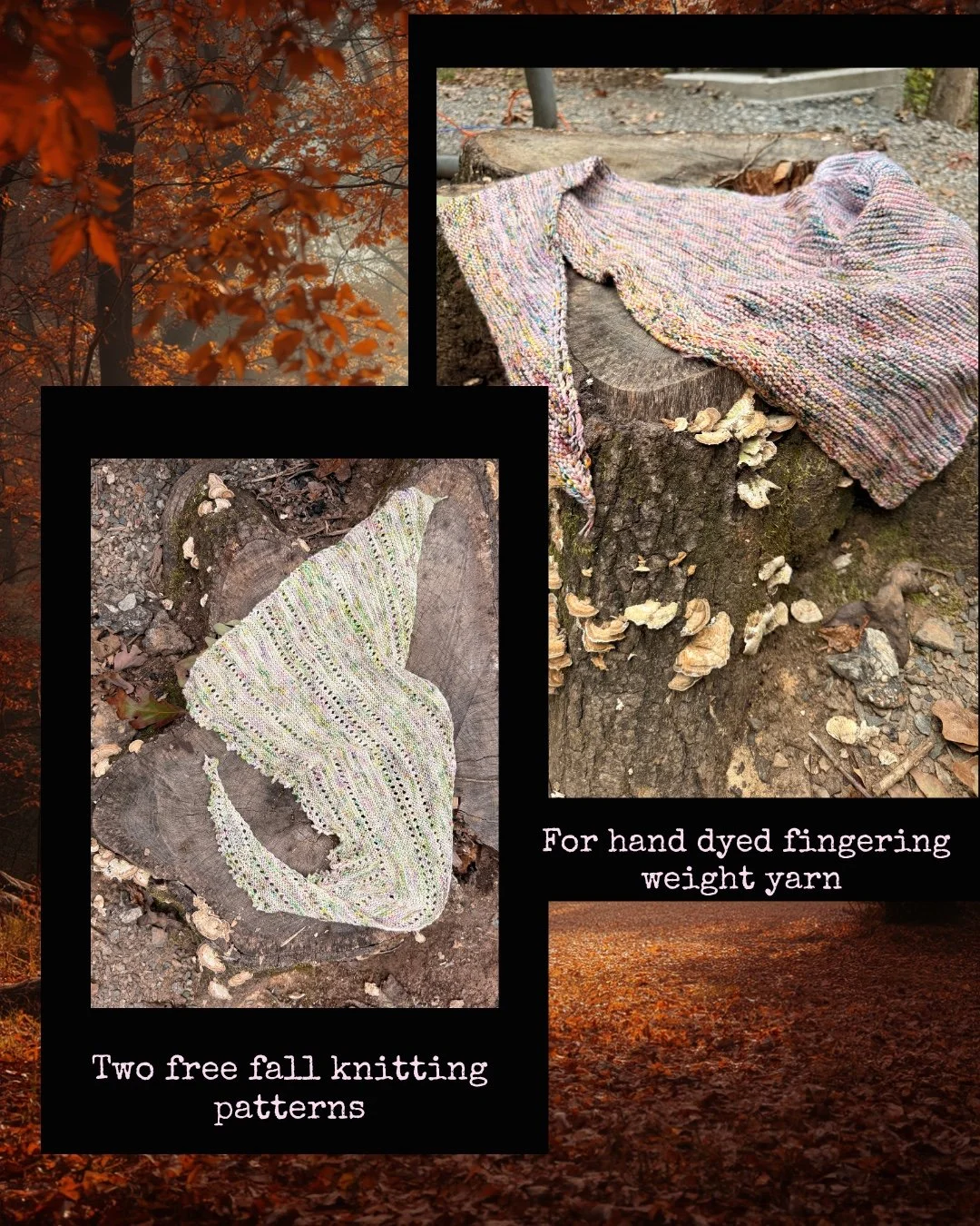 Two Shawls, a Fall Camping Trip, and the Places We Knit Into Them