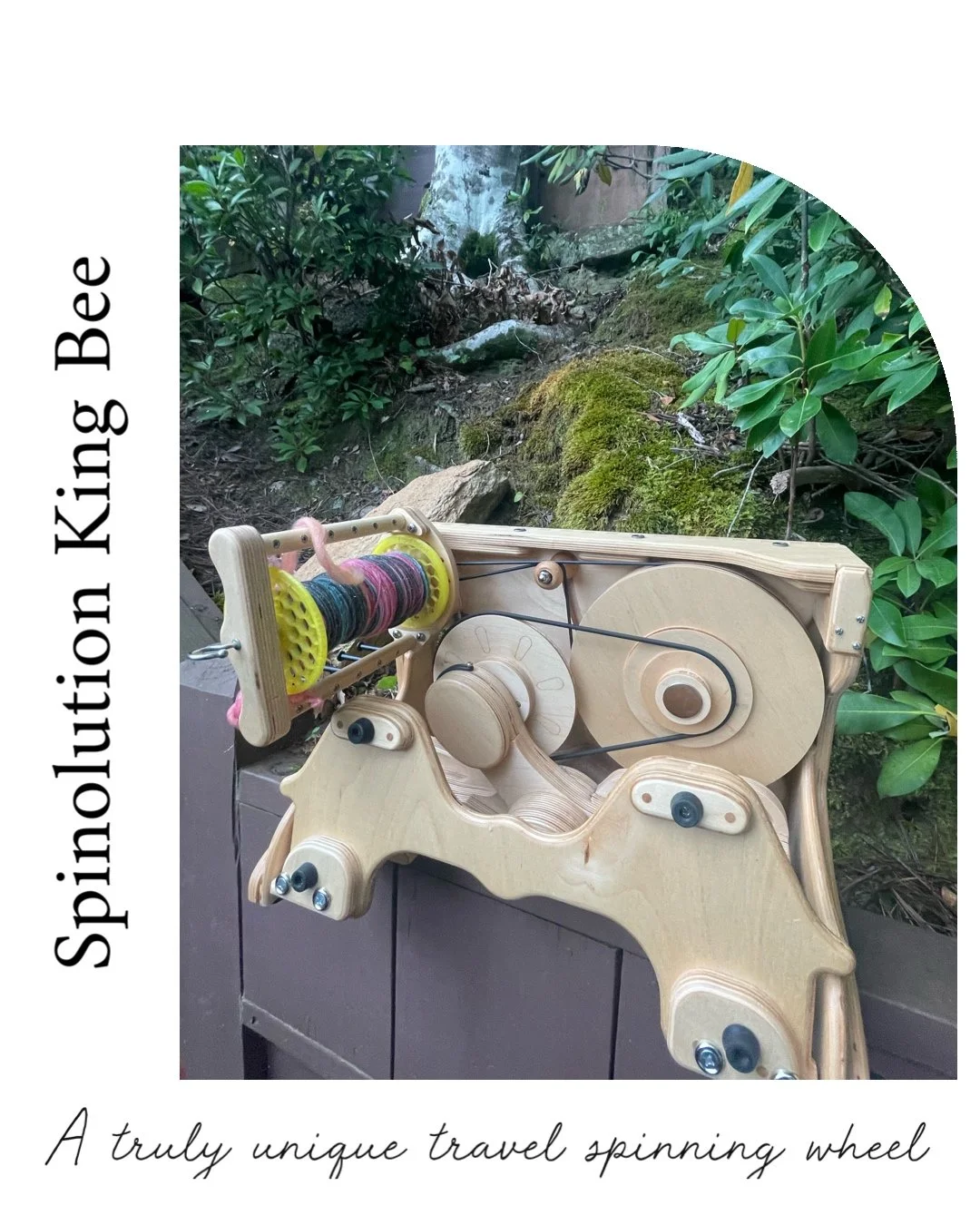 King Bee Spinolution Wheel-Demo and Review