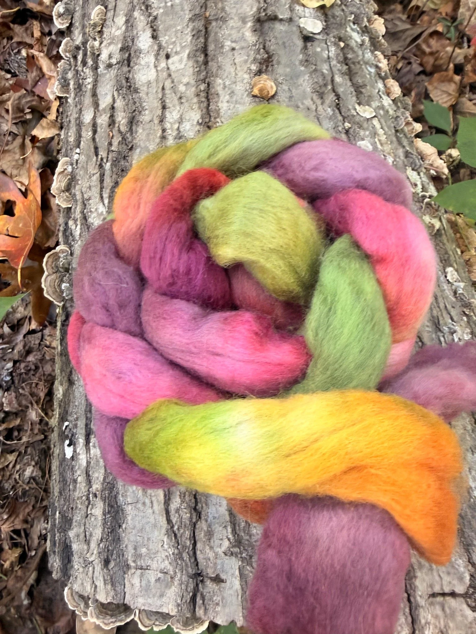 Hand-Dyed Roving Wool Braids — Curated Small-Batch Fiber from USA Mills