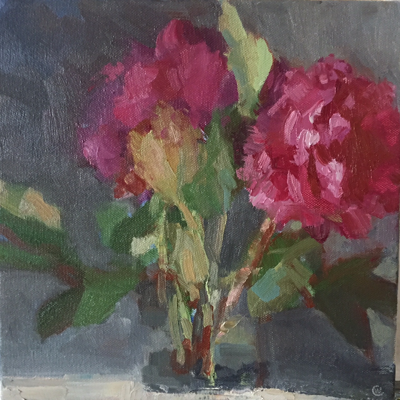 Peony, Oil on canvas, 10"x10", SOLD