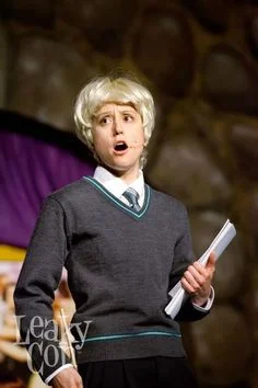 A Very Potter Senior Year