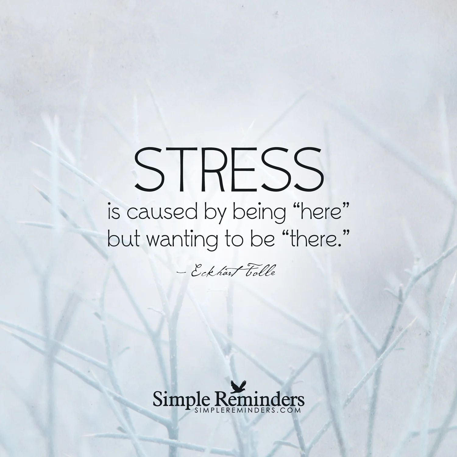 The basis of stress -- Eckhart Tolle