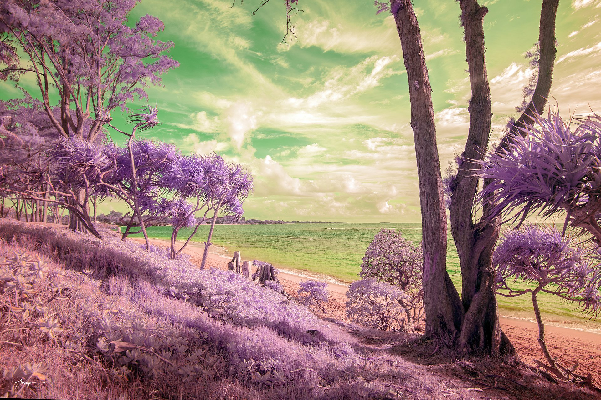 Seashore of the Nymphs