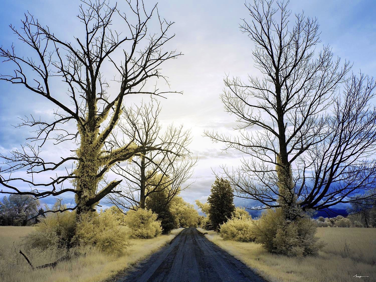 Lone Road