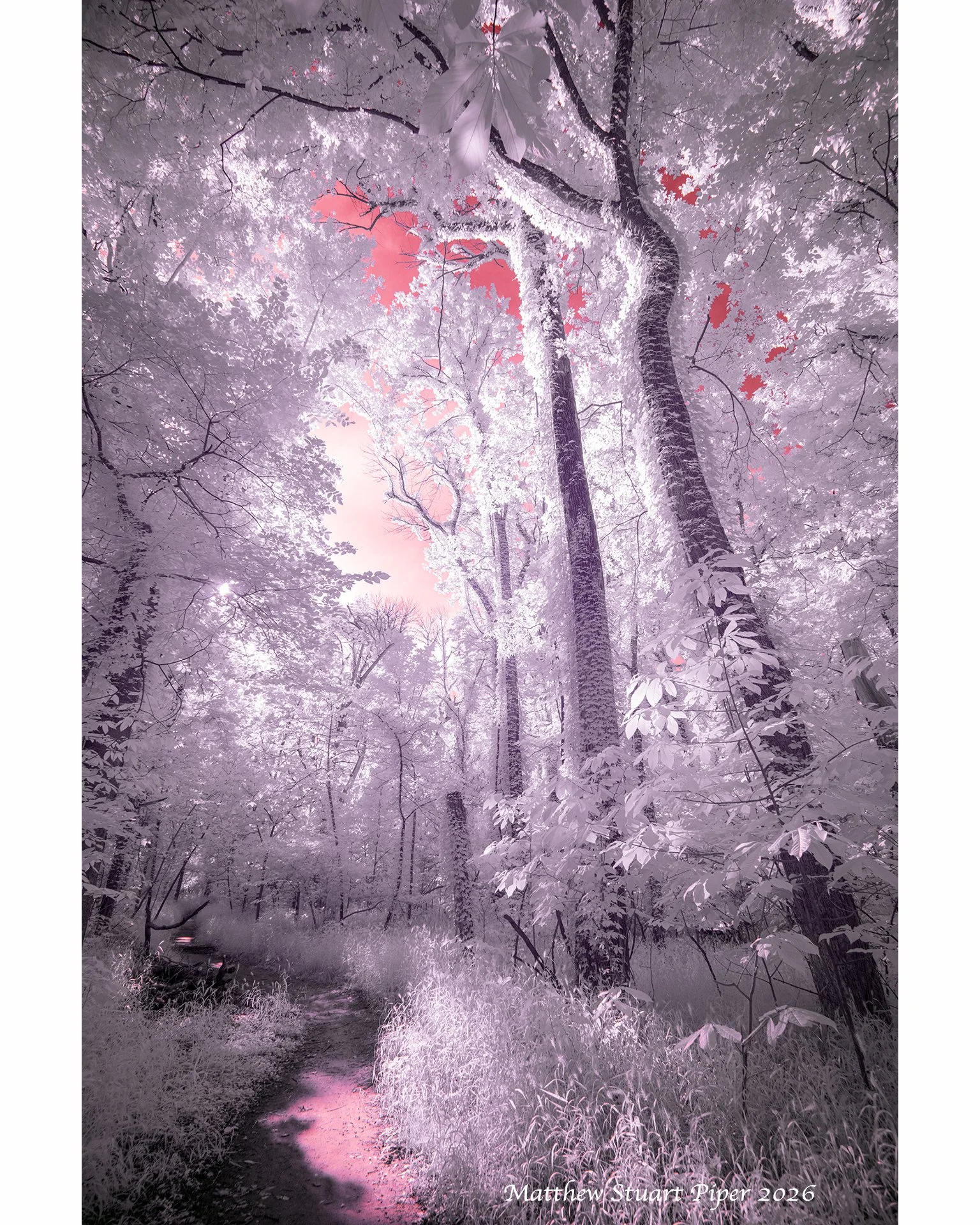 Enchantment