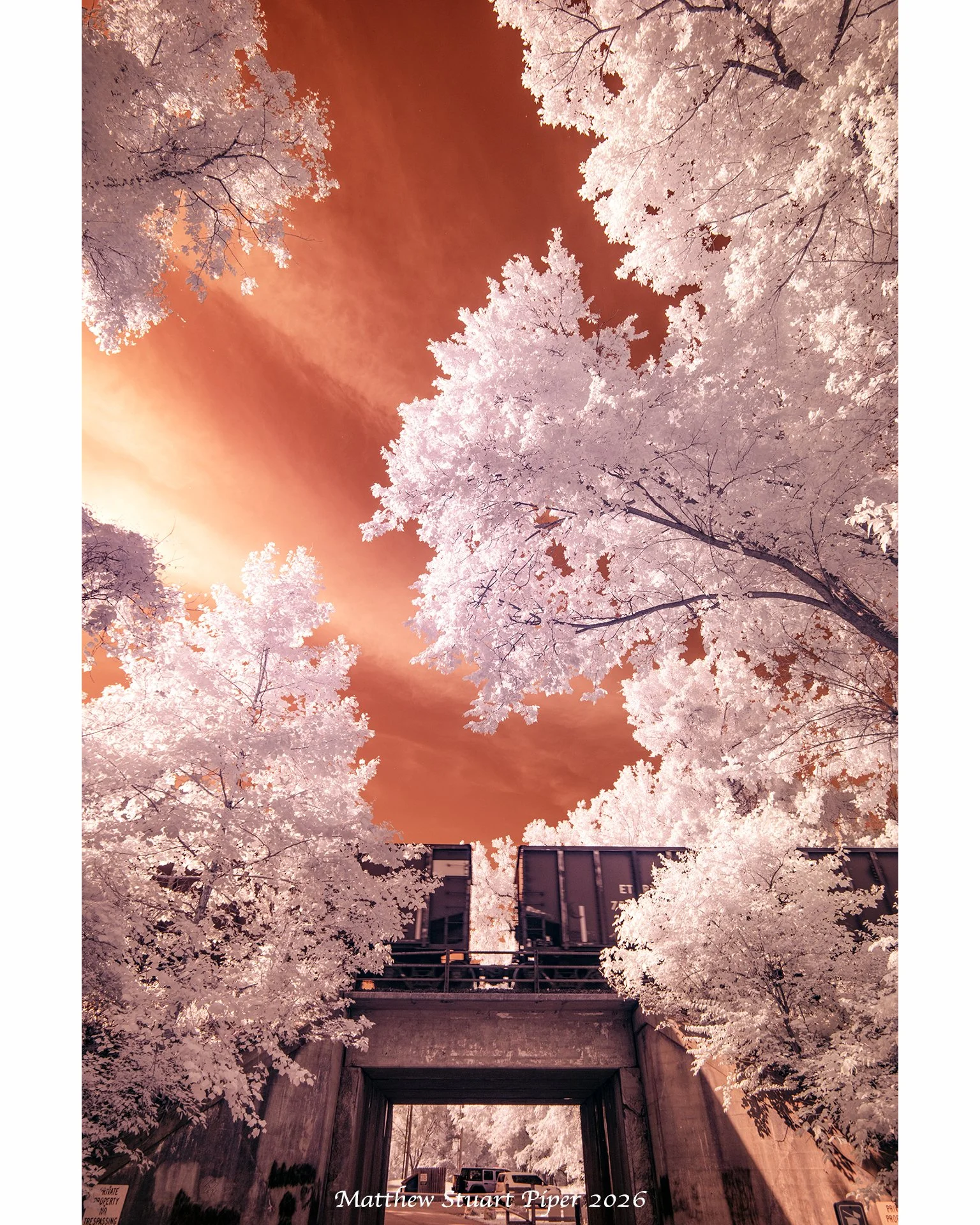 Slice of Time