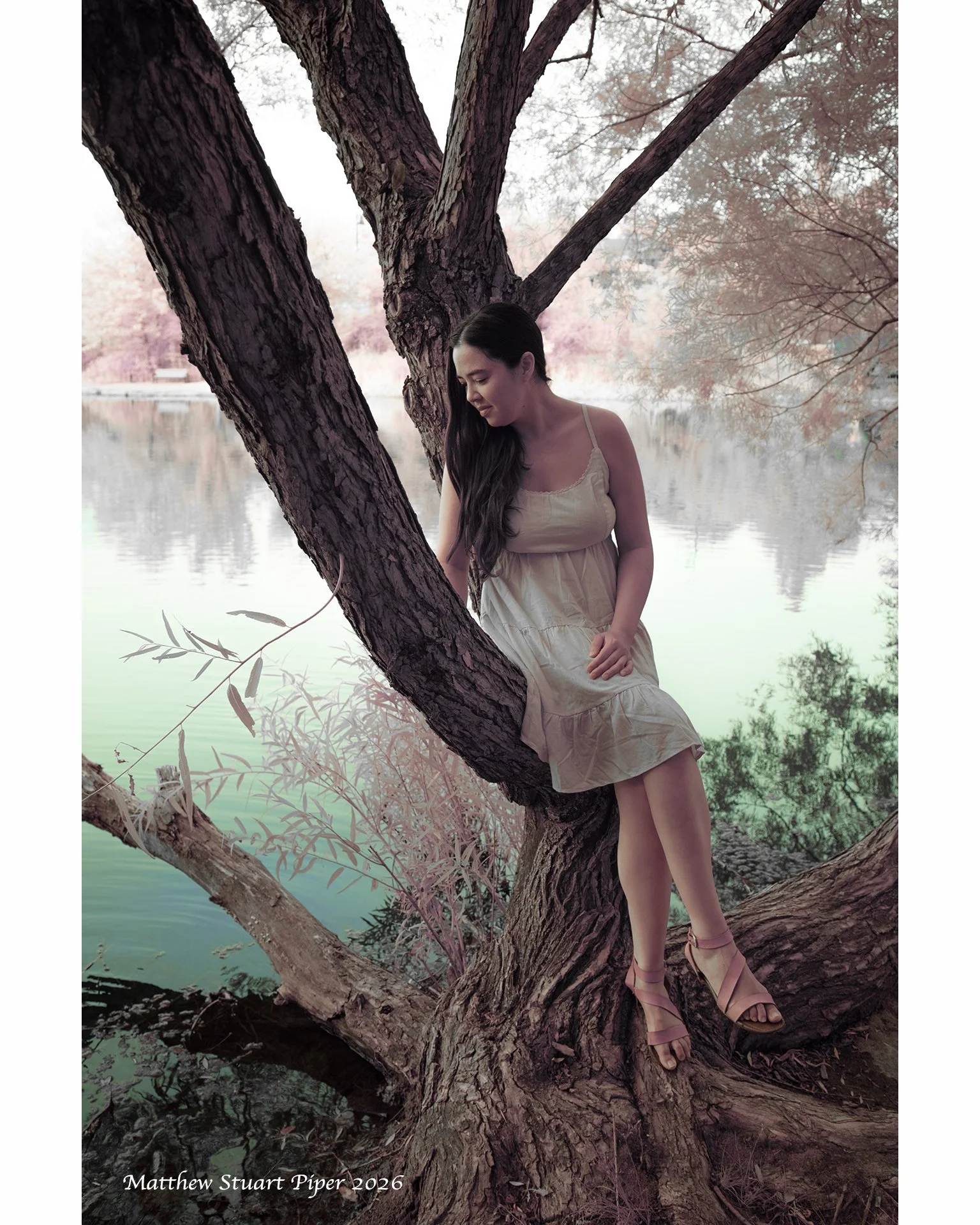 "The Water Nymph"