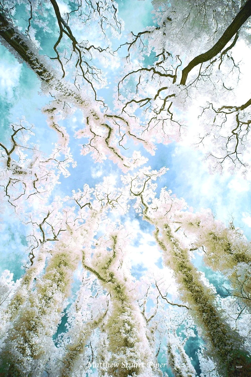Heavenward