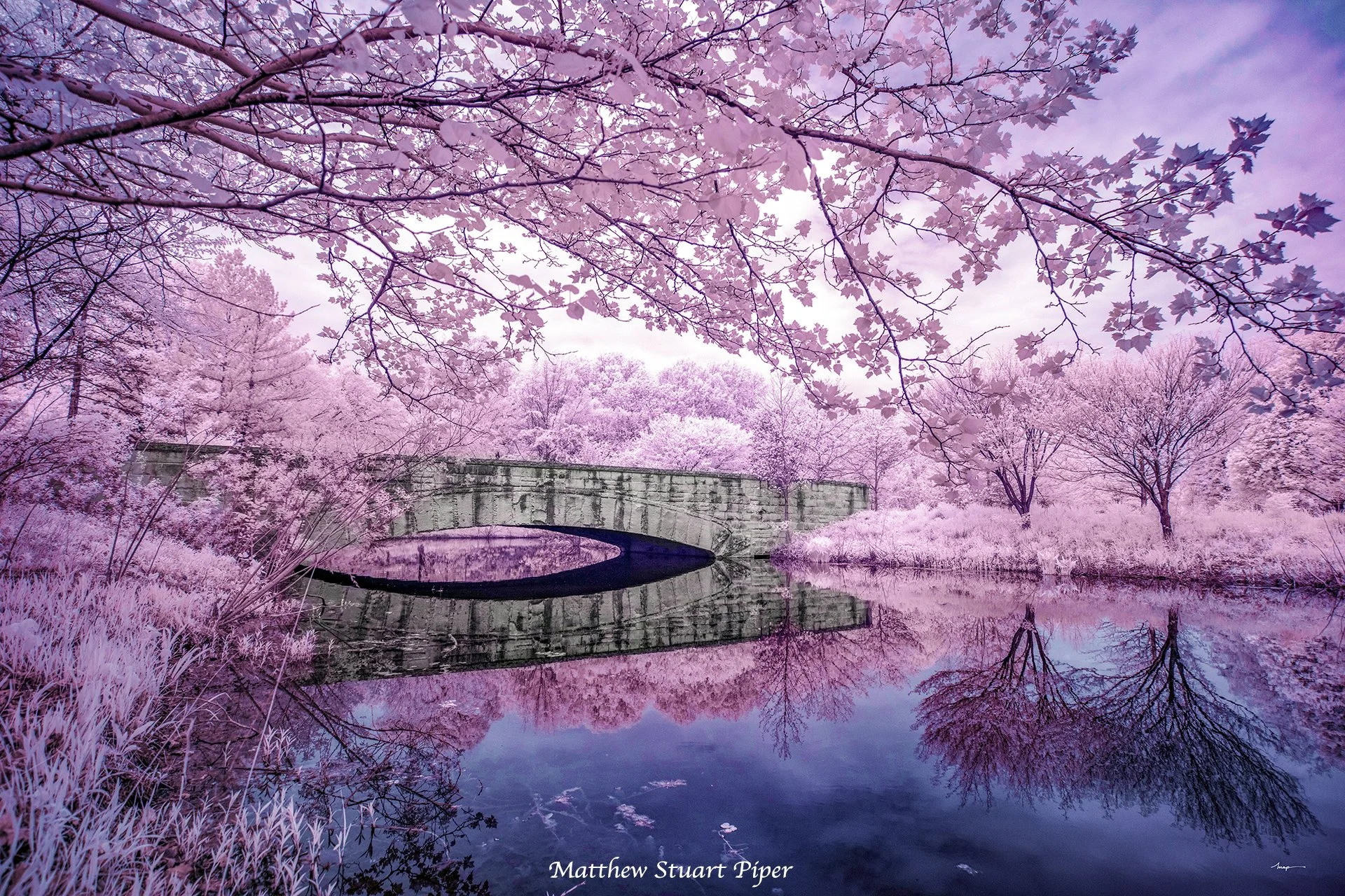 Springbridge