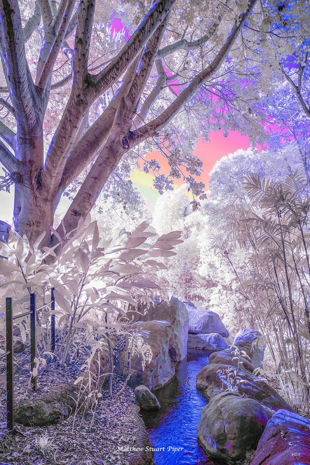 Tributary
