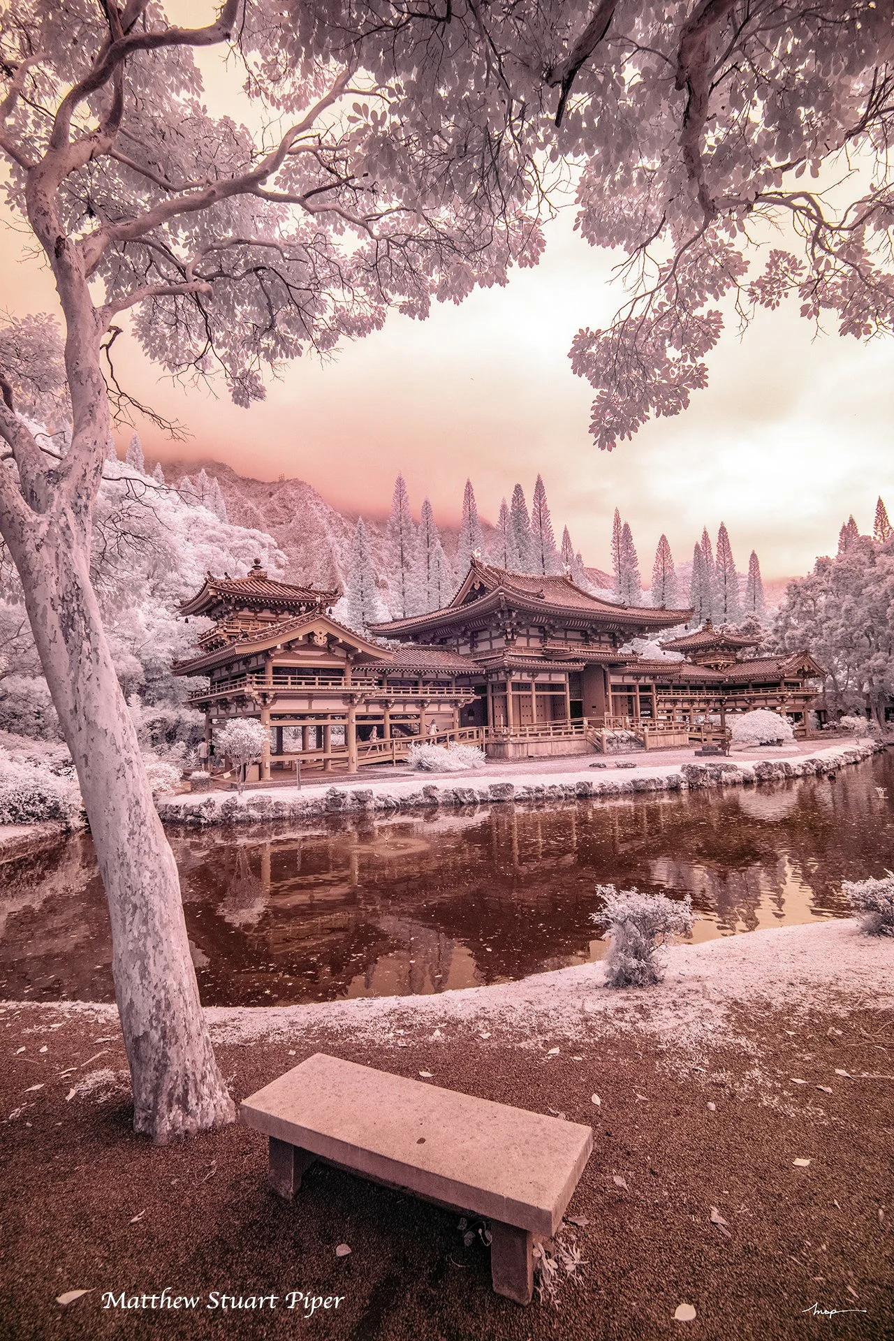 Garden of Loyalties