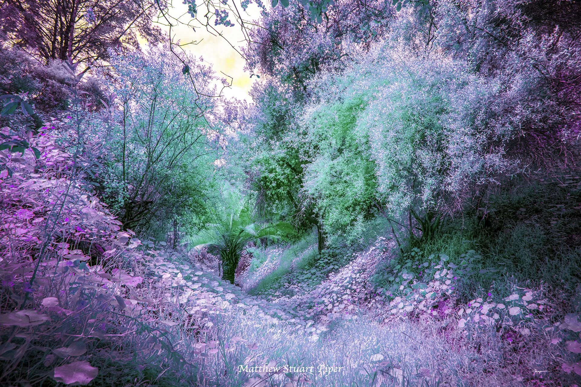 Fairydwell