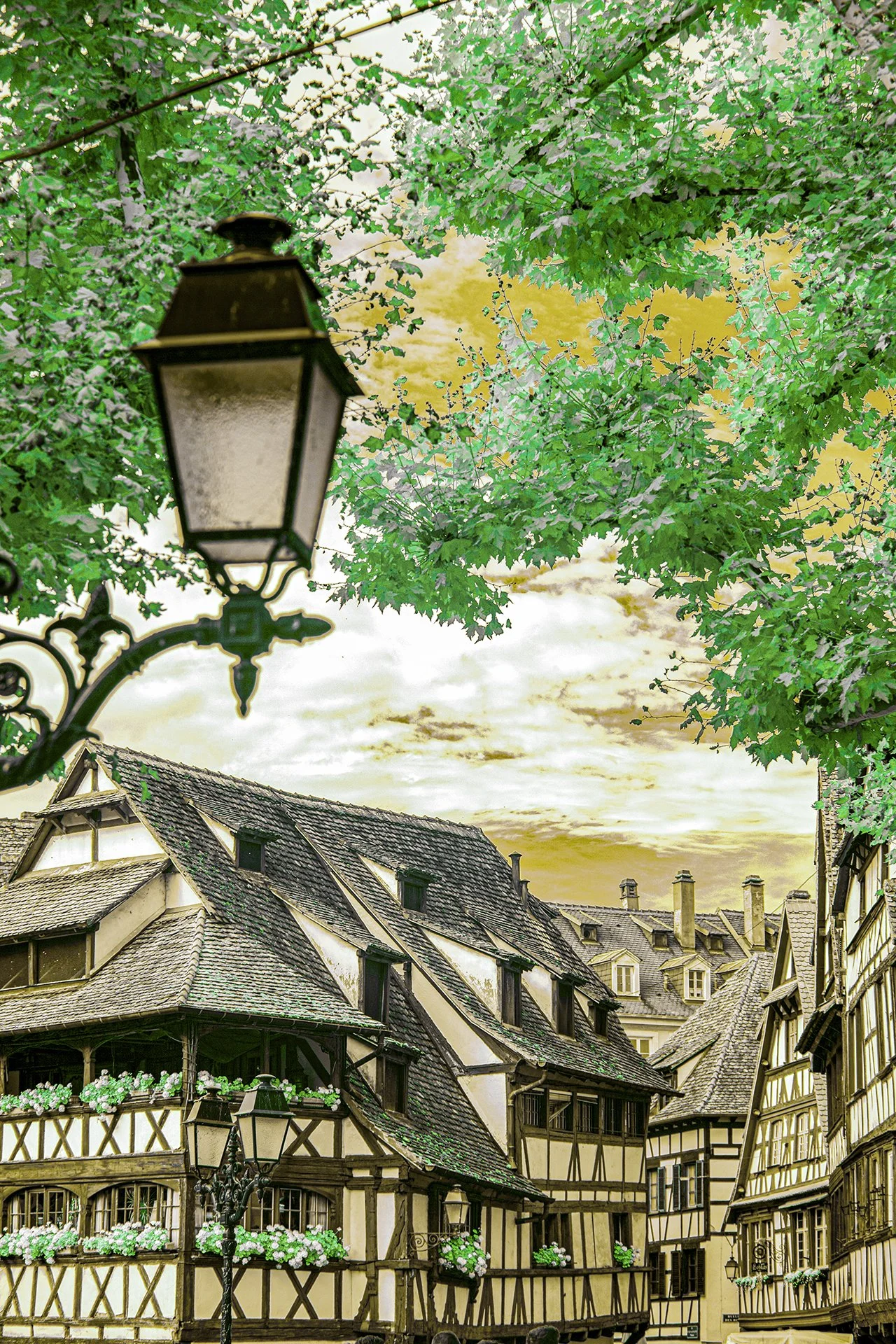 View from Yesteryear 