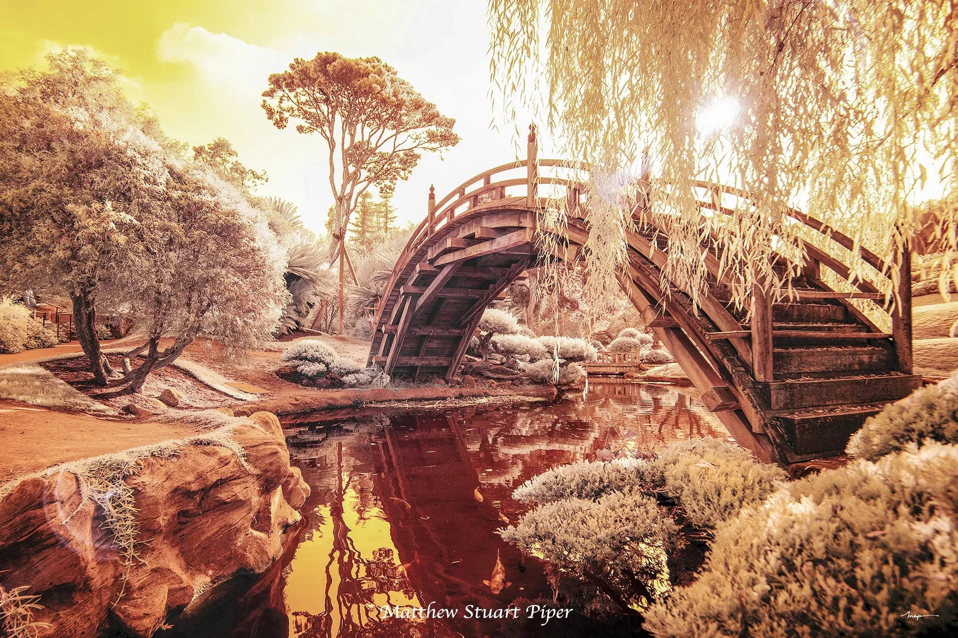 Storybook