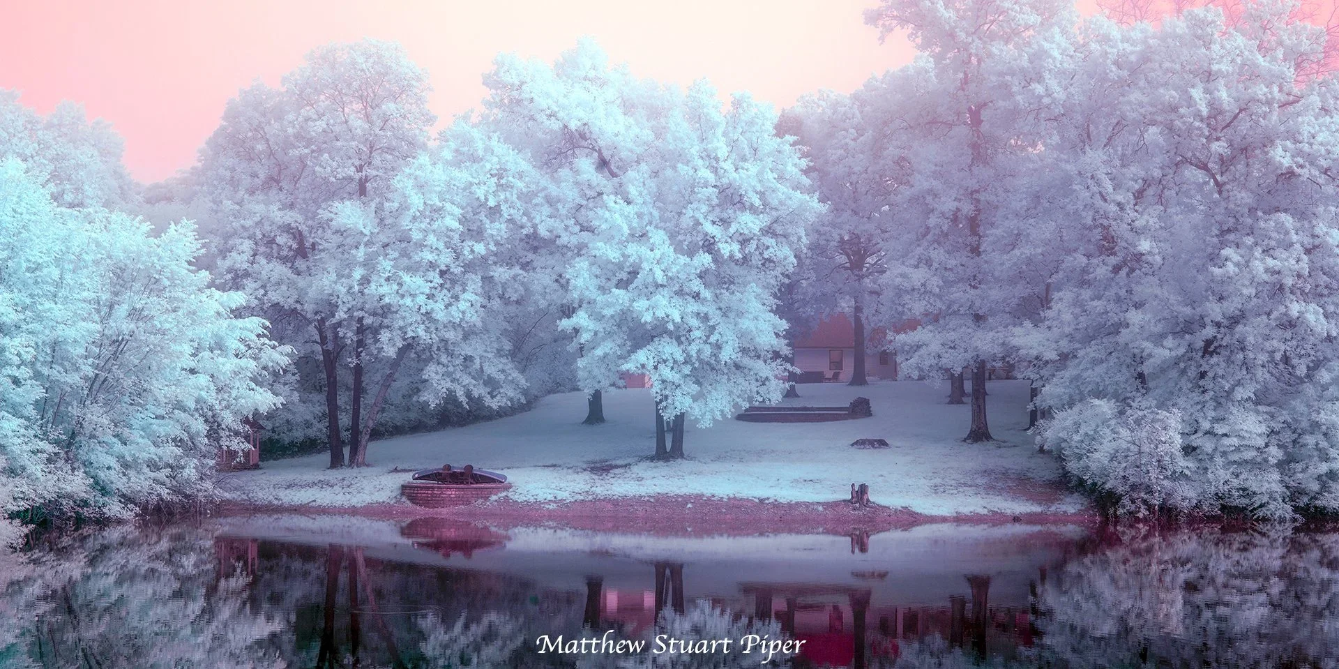 Misty Morn