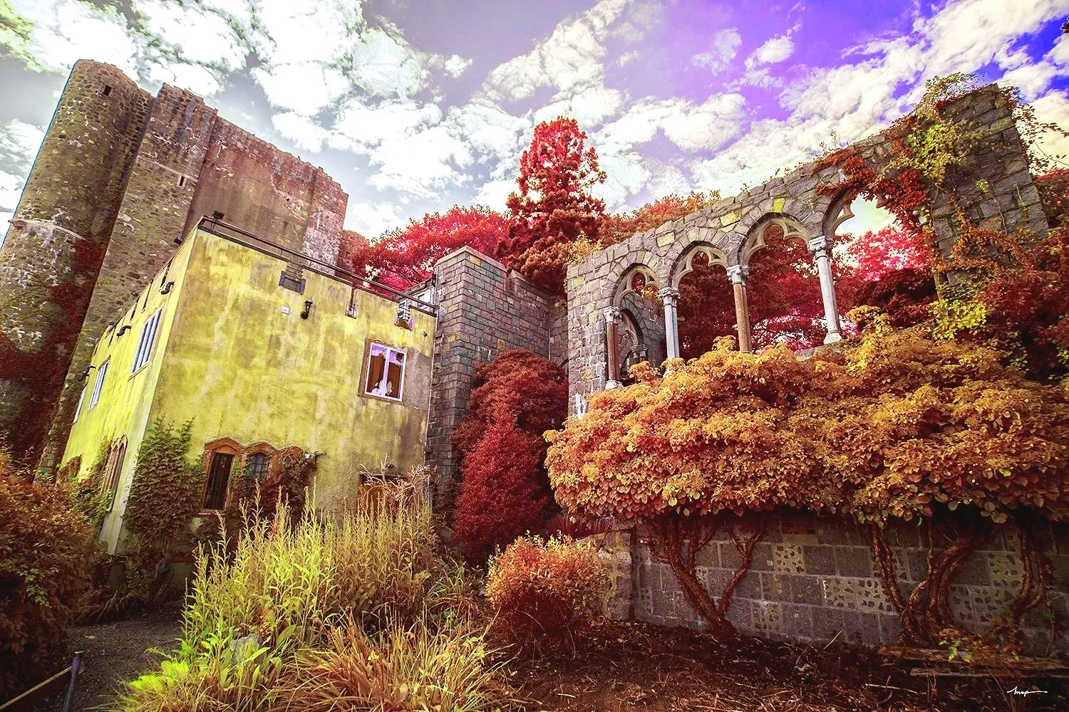 Dracula's Castle